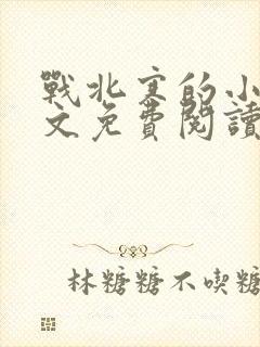 战北寒的小说全文免费阅读无弹窗