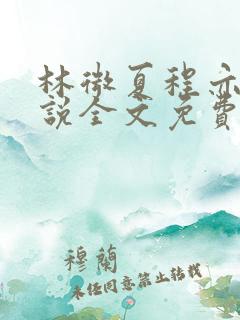 林微夏程亦风小说全文免费