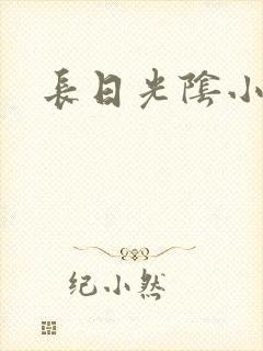 长日光阴小说