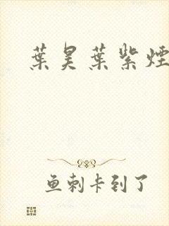 叶昊叶紫烟小说