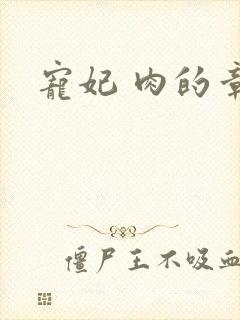 宠妃 肉的章节