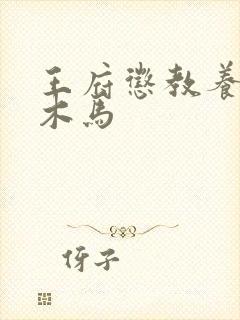 王府惩教养日常木马