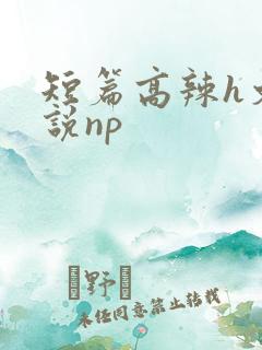短篇高辣h文小说np