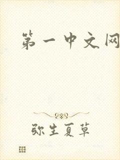 第一中文网