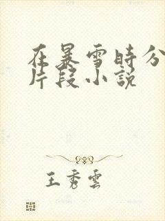 在暴雪时分高能片段小说