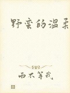 野蛮的温柔
