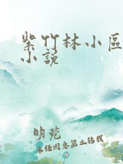 紫竹林小区快递小说