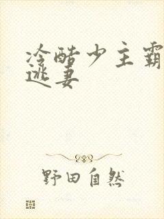 冷酷少主霸宠小逃妻