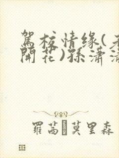 驾校情缘(老树开花)孙潇潇第一次趣笔阁