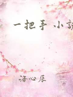 一把手 小说