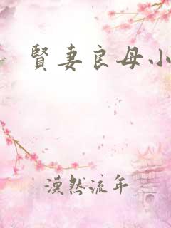 贤妻良母小说