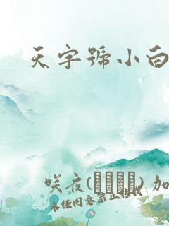 天字号小白脸