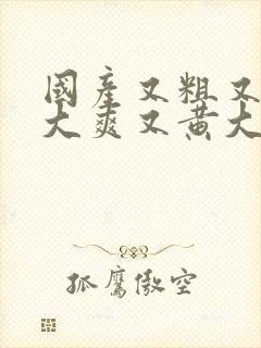 国产又粗又猛又大爽又黄大爷