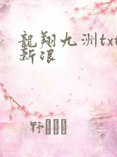 龙翔九洲txt新浪