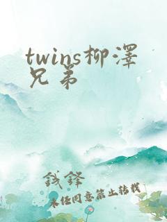 twins柳泽兄弟