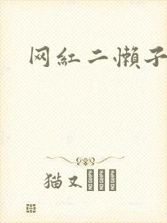 网红二懒子车祸