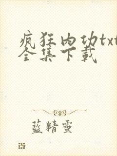疯狂内功txt全集下载