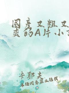 国产又粗又黄又爽的A片小说