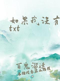如果我没有爱过txt
