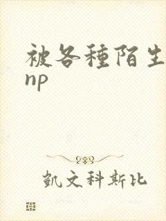 被各种陌生人 np