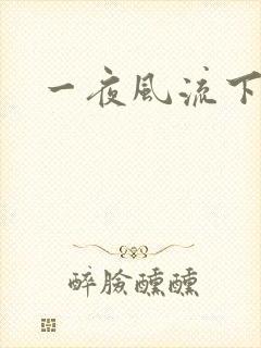 一夜风流下载