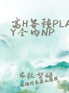 高H各种PLAY全肉NP