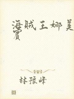 海贼王娜美h罗宾