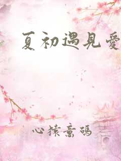 夏初遇见爱