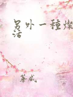 另外一种灿烂生活