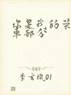 你是我的荣耀开车部分