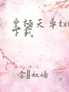 皇极天尊txt下载