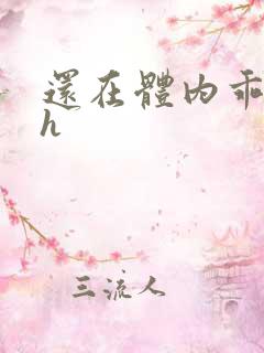 还在体内乖吃饭h