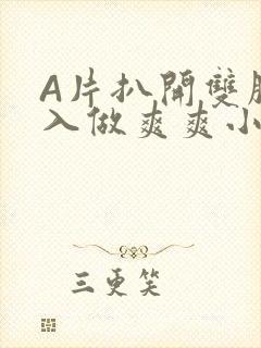 A片扒开双腿进入做爽爽小说