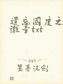 遗忘国度之神秘徽章txt