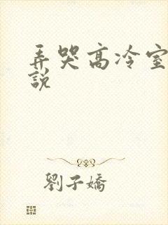 弄哭高冷室友小说