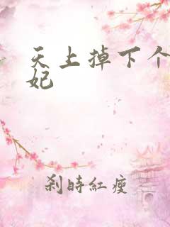 天上掉下个奇王妃