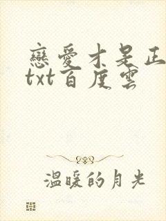 恋爱才是正经事txt百度云