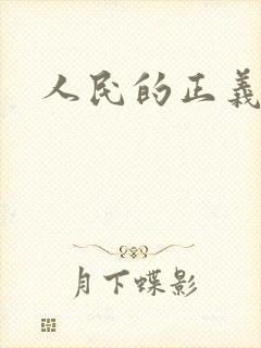 人民的正义小说