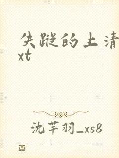 失踪的上清寺txt