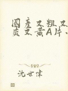 国产又粗又猛又爽又黄A片小说