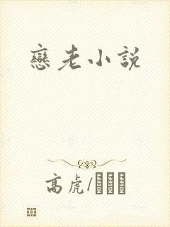 恋老小说