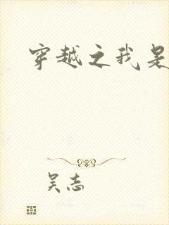 穿越之我是华筝