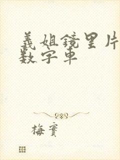 义姐镜里片微博数字车