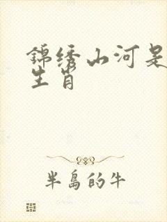 锦绣山河是什么生肖