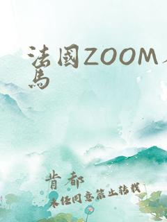 法国ZOOM人马