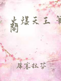 火爆天王 笔趣阁