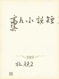 高h小说短篇合集