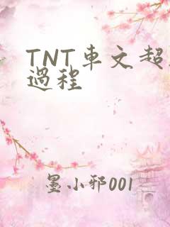 TNT车文超细过程
