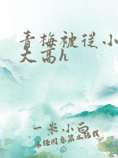 青梅被从小玩到大高h