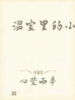 温室里的小百合